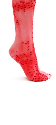 Photos: Berlinda Van Dam<br>